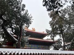 -故宫博物院(故宫)