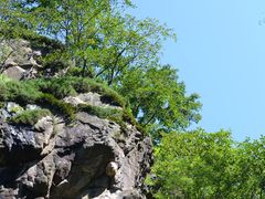 -云岫谷游猎自然风景区