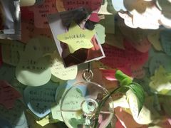 -大王油茶(二厂文创公园店)