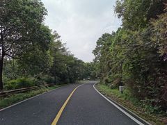 -宝界山林公园