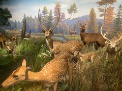 -陕西自然博物馆