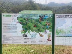 -马峦山郊野公园