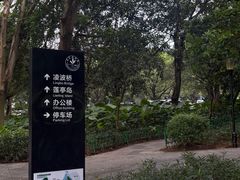 -东莞植物园