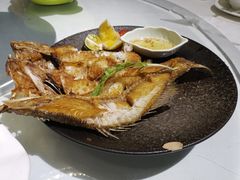 -青叶202都市餐厅(迪诺水镇店)