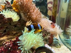 -太平洋海底世界