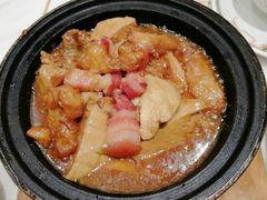 红焖鳕鱼头腩-稻香酒家·33年老字号·港式粤菜(富邦中心店)