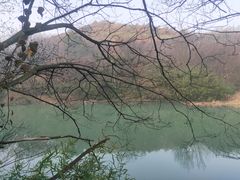 -白马涧龙池景区