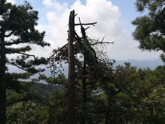 -罗田薄刀峰风景区