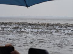 -观潮胜地公园
