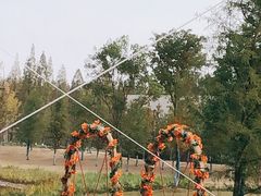 -黄海国家森林公园