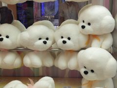 -汤姆熊欢乐世界(大连恒隆广场店)