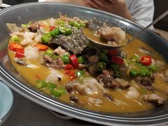 招牌状元甲鱼锅-十碗(保利店)