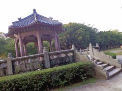 -中山大学学者灵芝(园南路店)