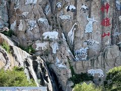 -西霞口神雕山野生动物世界