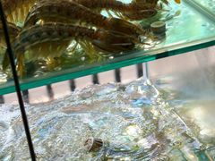 -凯华海鲜火锅·传承三十六年