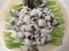 上汤桂鱼-巧凤私房菜