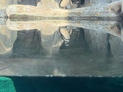 -西安曲江海洋极地公园