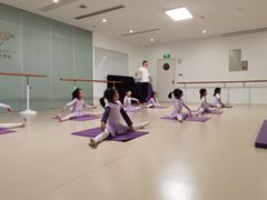 -红舞鞋舞蹈教育(近江校区)