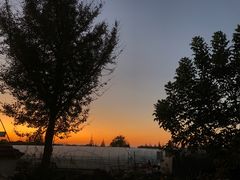 -大家发海鲜城夜排档(华山中路店)