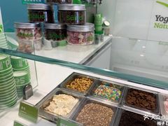 -Salud撒露欧洲冻酸奶(蓝色港湾店)