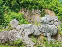 -南京老山国家森林公园