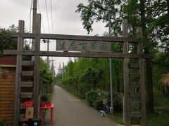 -上海长兴岛郊野公园