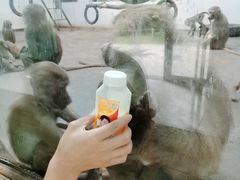 -西安秦岭野生动物园