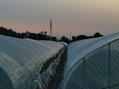 -阿英煲(凉城路店)