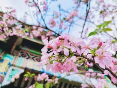 景点-宝墨园景区