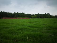 -白鹭湾湿地公园