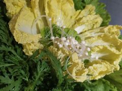 -井格重庆火锅(新世纪店)