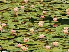 -白鹭湾湿地公园