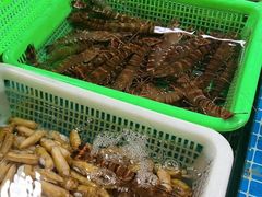 -都斛海鲜街