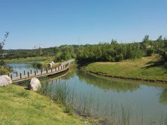 -淇河国家湿地公园