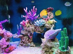 -上海海昌海洋公园