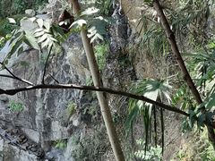 -伴山茶苑·围炉煮茶