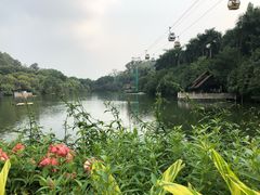 -广州长隆野生动物世界