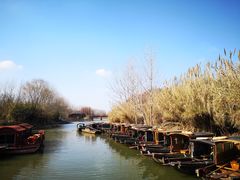 -溱湖国家湿地公园