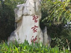 -习家池