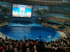 -海合安成都极地海洋公园