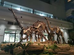 -自贡恐龙博物馆