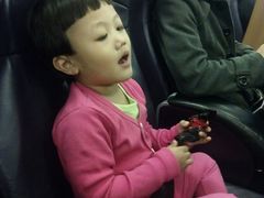 -信德中旅船务管理有限公司