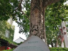 -浈阳坊旅游小镇
