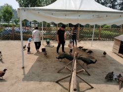 -萌宠亲子动物乐园(槐房万达店)