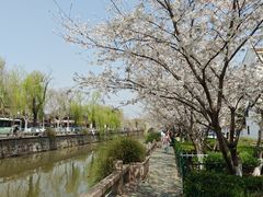 -常熟方塔园