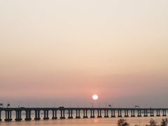 -宝安西湾红树林湿地公园