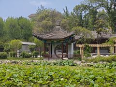 -莲湖公园