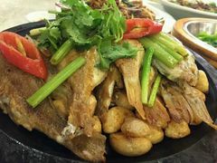 -金碧轩粤菜海鲜大酒楼