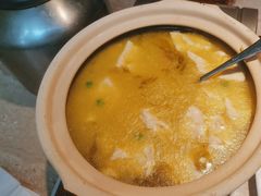 -佬肥猫(七宝宝龙店)