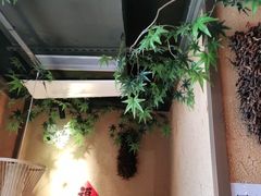 -农耕记·湖南土菜(龙岗熙和园店)